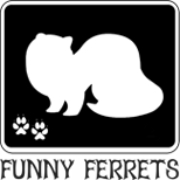 Cliente - Funny Ferrets - Conservare Wild Consulting