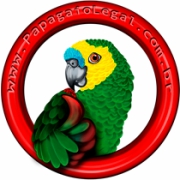 Cliente - Papagaio Legal - Conservare Wild Consulting