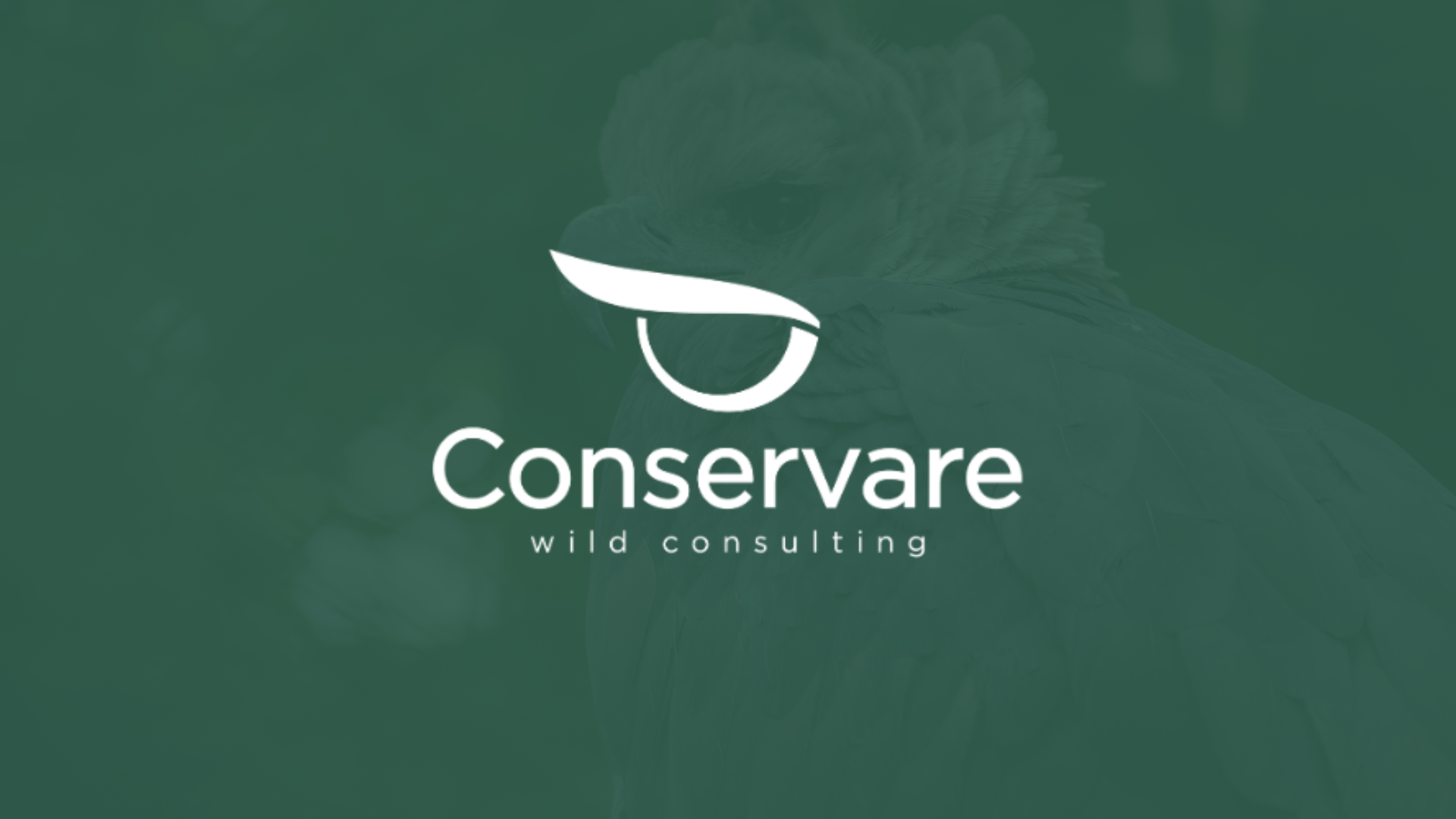 Conservare Wild Consulting